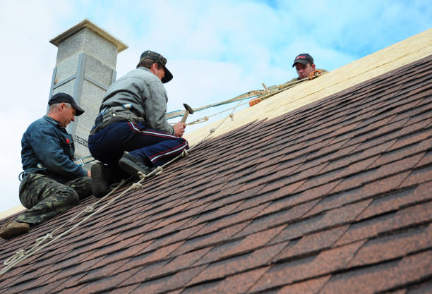 Best Gutter Installation and Roofing  in Cottonwood Shores, TX