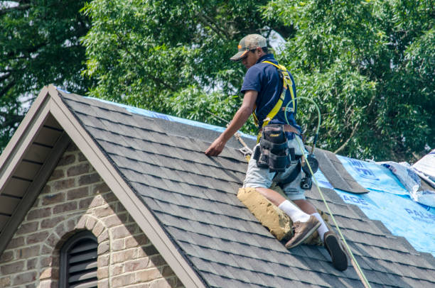 Best Local Roofing Companies  in Cottonwood Shores, TX